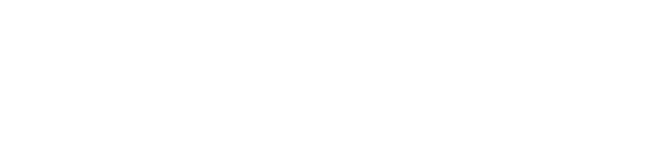 Niaxo Logo